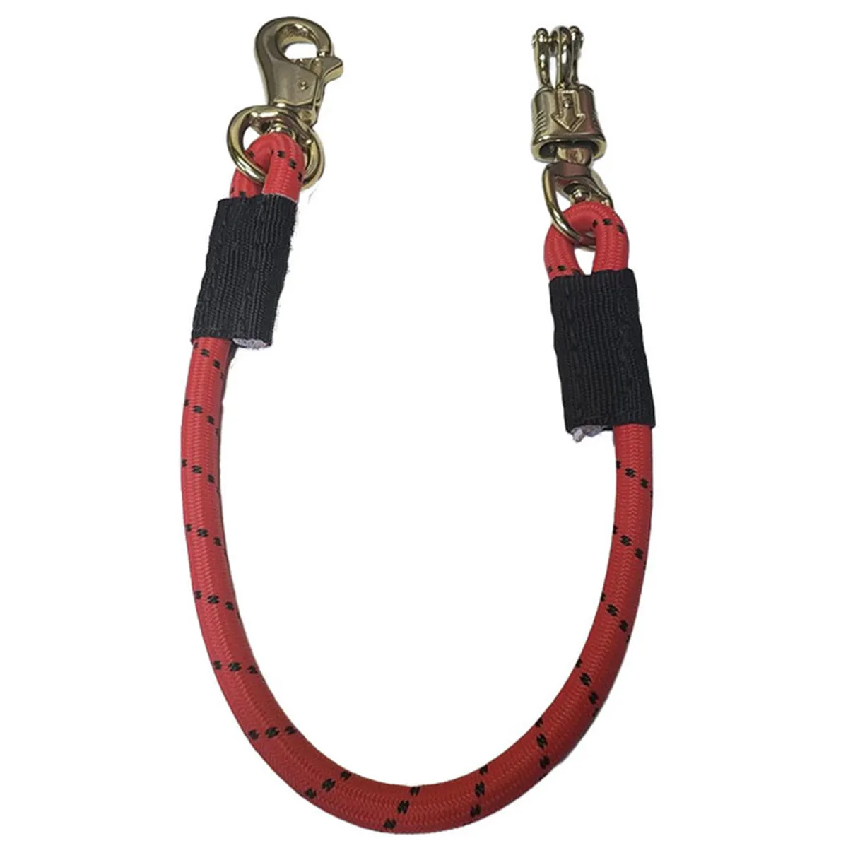 Bungee Trailer Tie