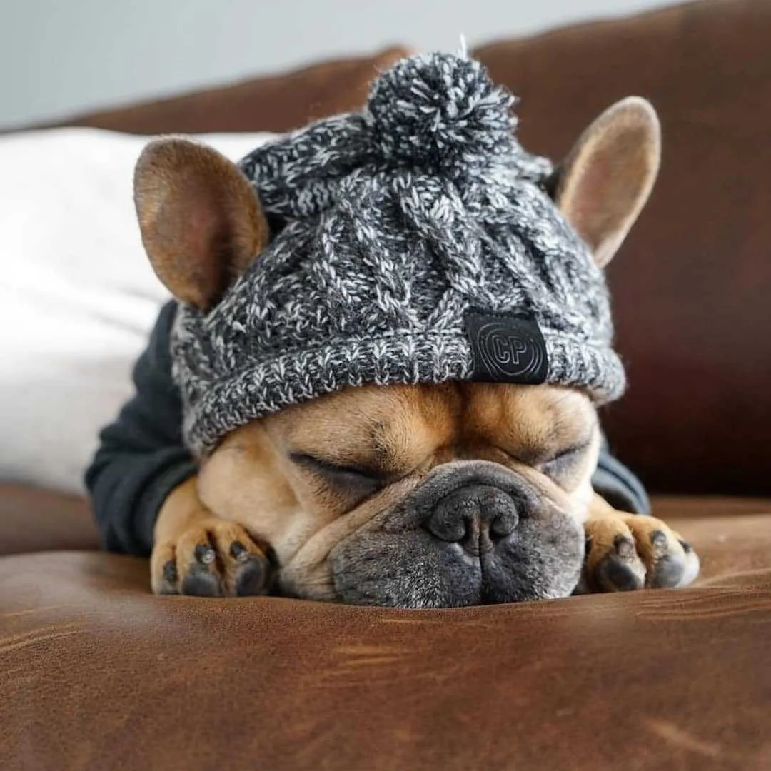 Winter Fashion Dog Hat- Windproof Fluffy Knitted Polar Pom Hat
